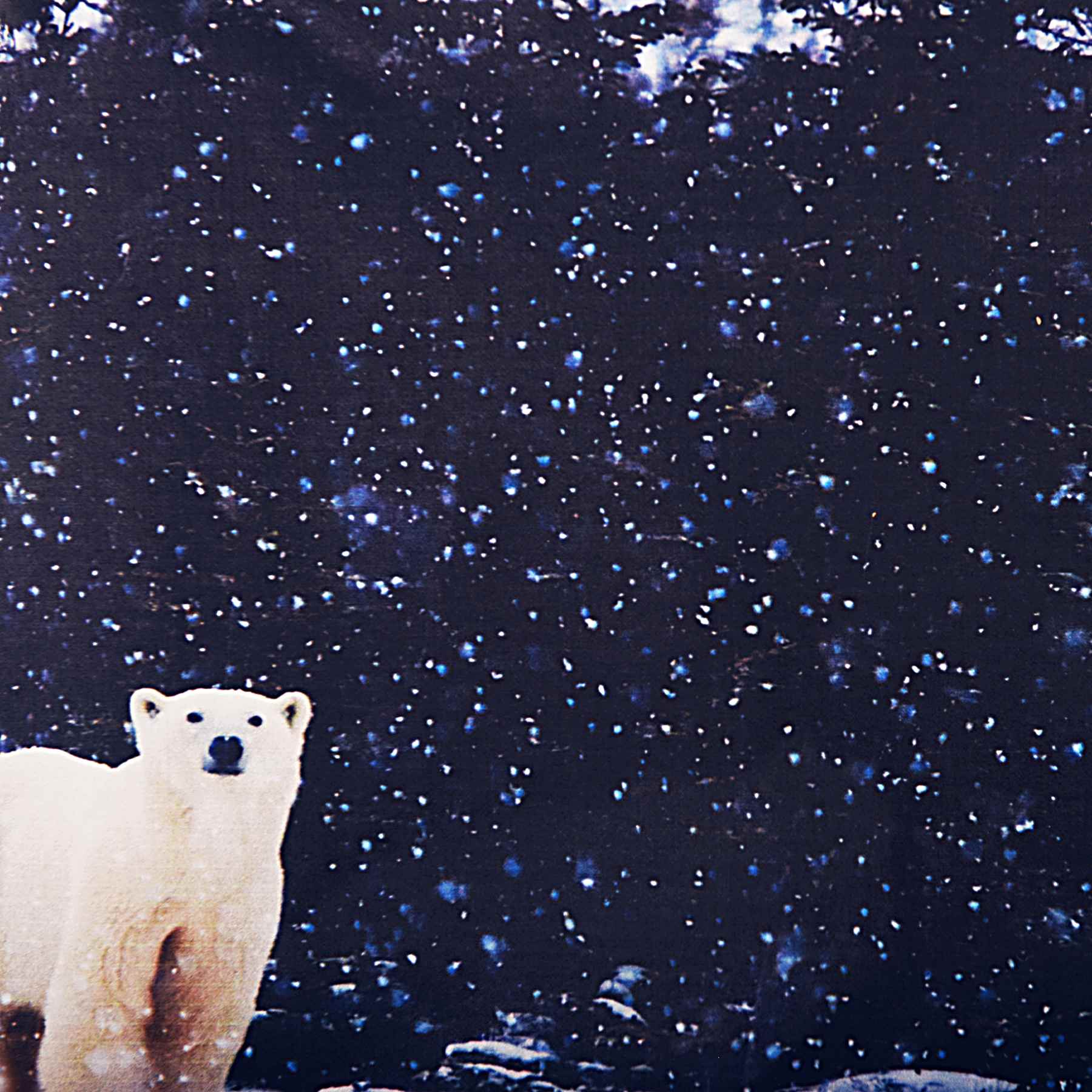 Jupe Courte Hiver Fille | Imprimé Ours Polaire | SNOW BEAR – Image 2